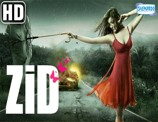 Zid-Title-Song---Zid---Lyrics-In-Hindi