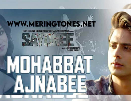 Mohabbat Ajnabee Lyrics – Sayonee