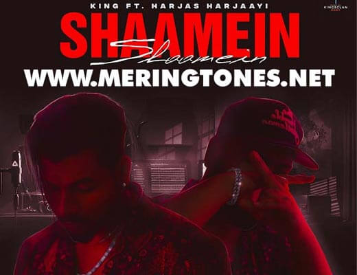 Shaamein Lyrics – King, Harjas