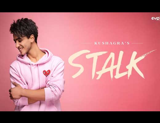Stalk Lyrics – Kushagra Thakur