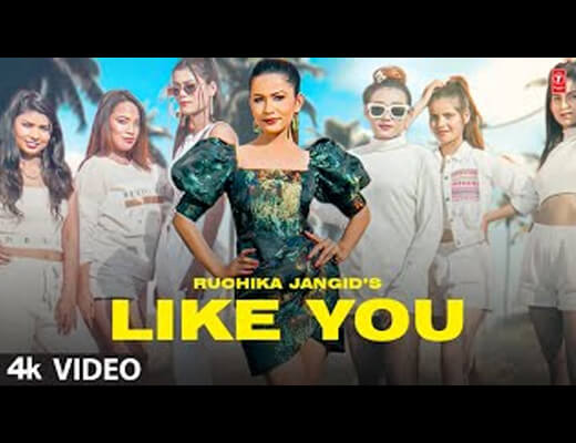 Like You Lyrics – Ruchika Jangid