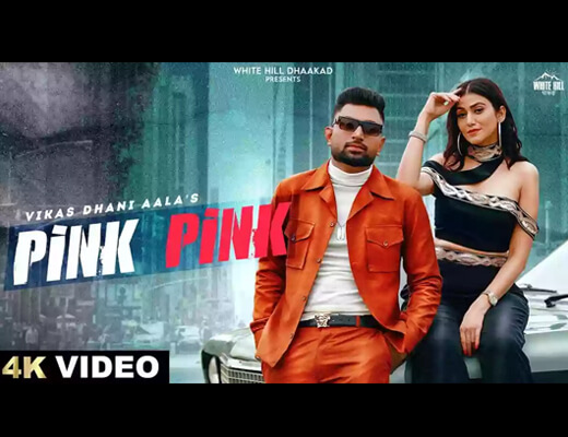 Pink Pink Lyrics - Vikas Dhani Aala