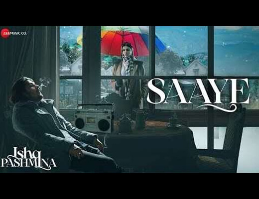 Saaye Lyrics - Yasser Desai