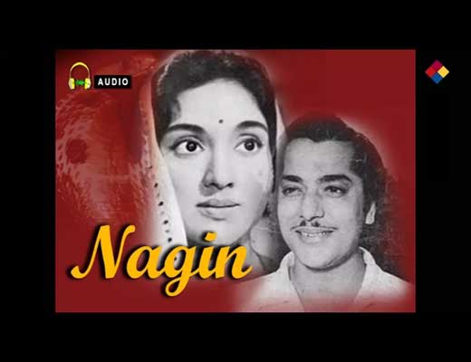 Ari Chhod De Patang Lyrics – Nagin