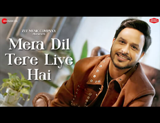 Mera Dil Tere Liye Hai Lyrics – Rohit Dubey