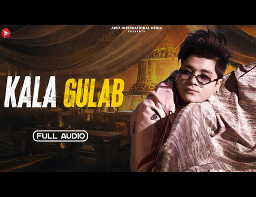 Kala Gulab Lyrics – Lil Golu