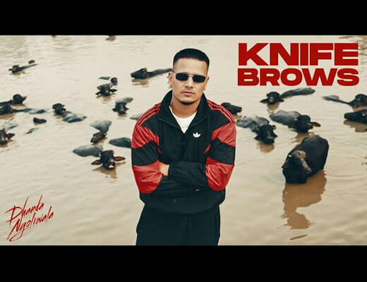 Knife Brows Lyrics – Dhanda Nyoliwala